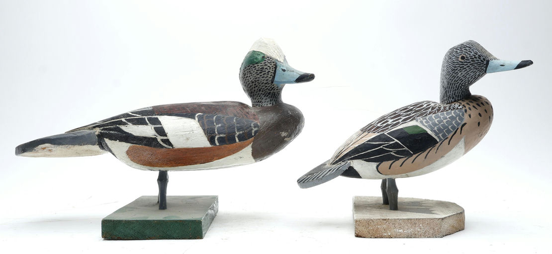 Lloyd Tyler – Wigeon – 2026