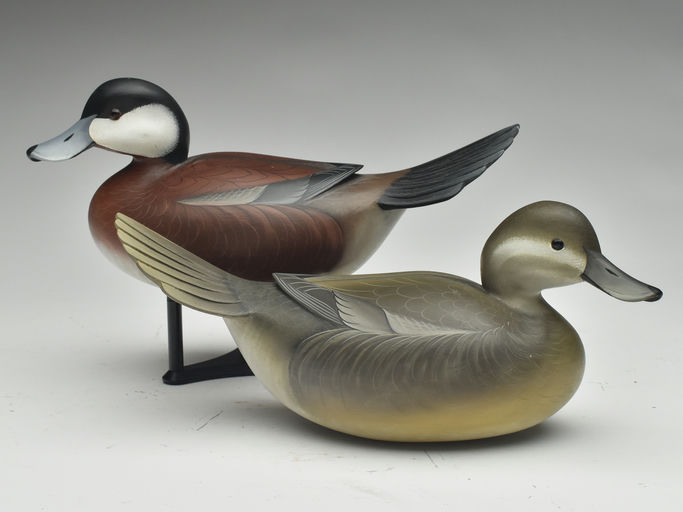 George Strunk – Pair of Ruddy Duck – 2023