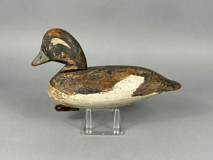 Doug Jester – Bufflehead – 2026