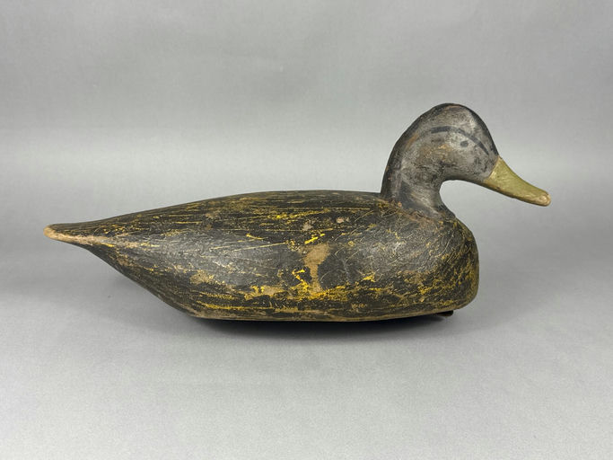 Miles Hancock – Black Duck – 2026