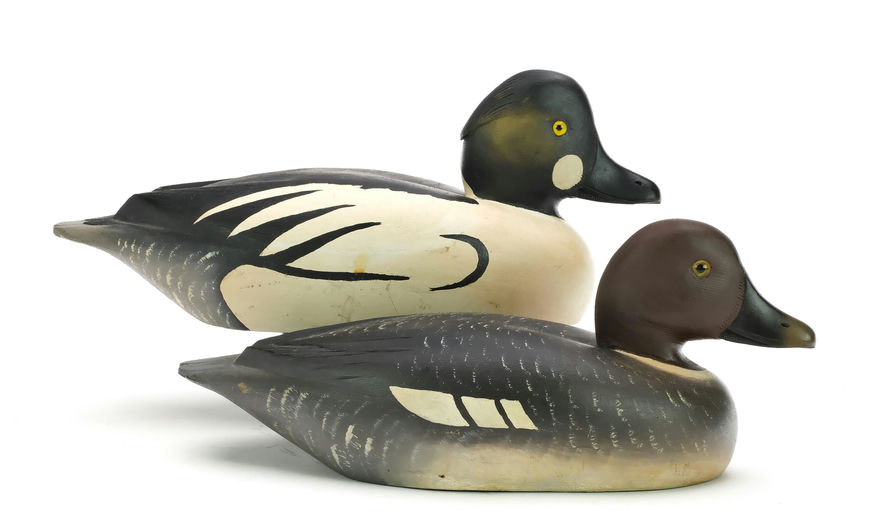 David W. Nichol – Goldeneye – 2024