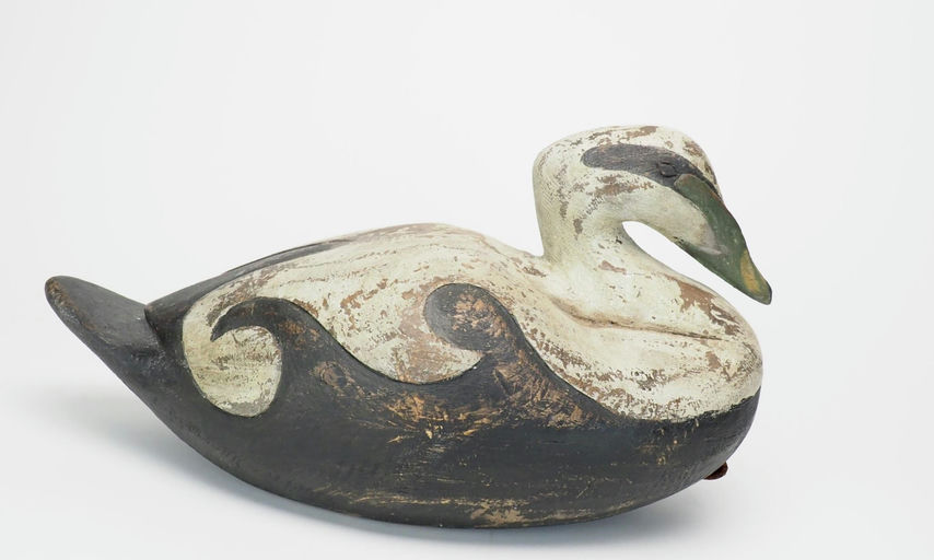 Reggie Birch – Common Eider Drake – 2025