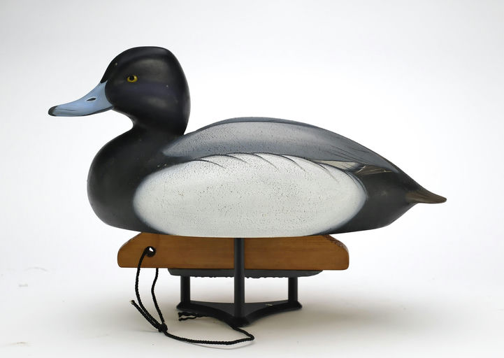 Ben A. Heinemann – Scaup – 2025
