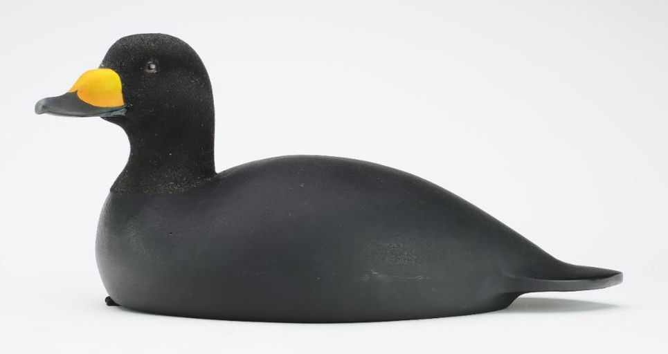 Tom Matus – Scoter – 2024