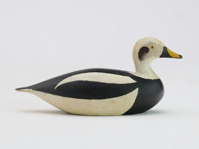 Joseph Lincoln – Long Tail Duck – 2024