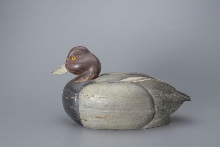 William Schultz – Early Redhead Drake – 2017
