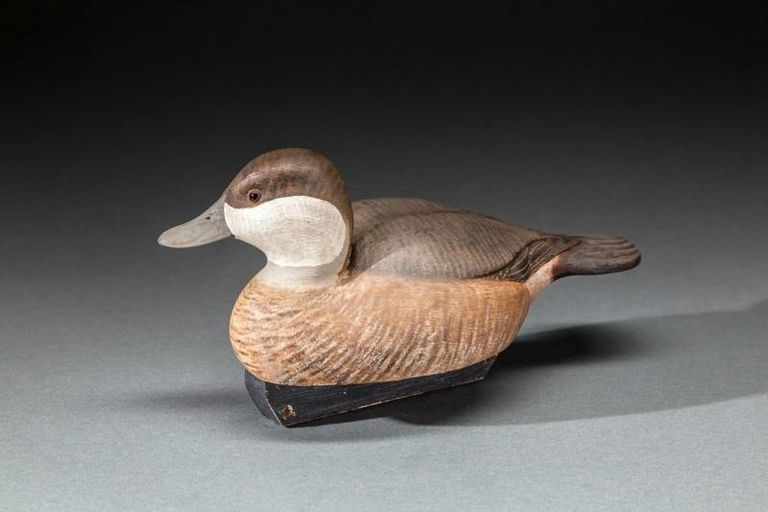 James West – Ruddy Duck – 2016