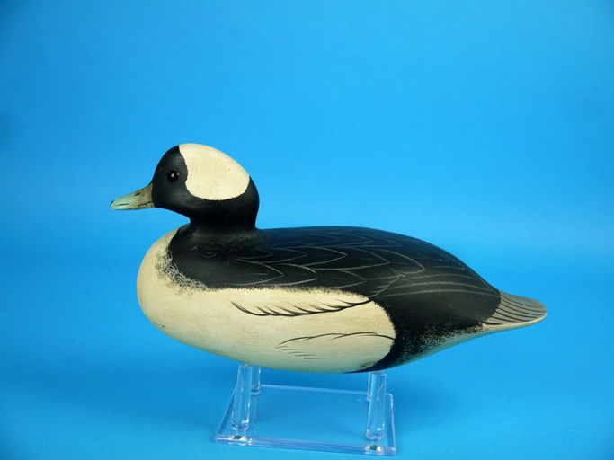 Art Birdsall – Bufflehead Drake – 2026