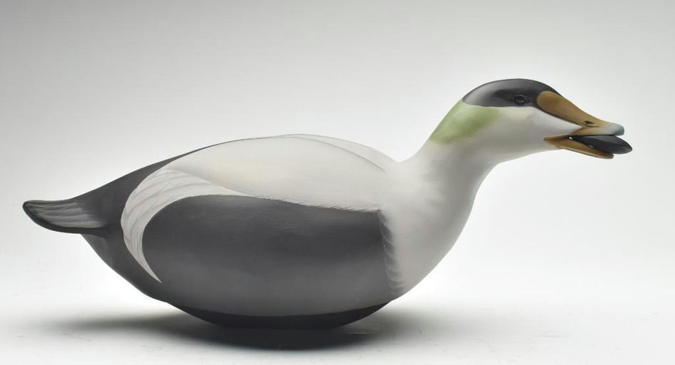 Steve Brettell – Eider – 2023