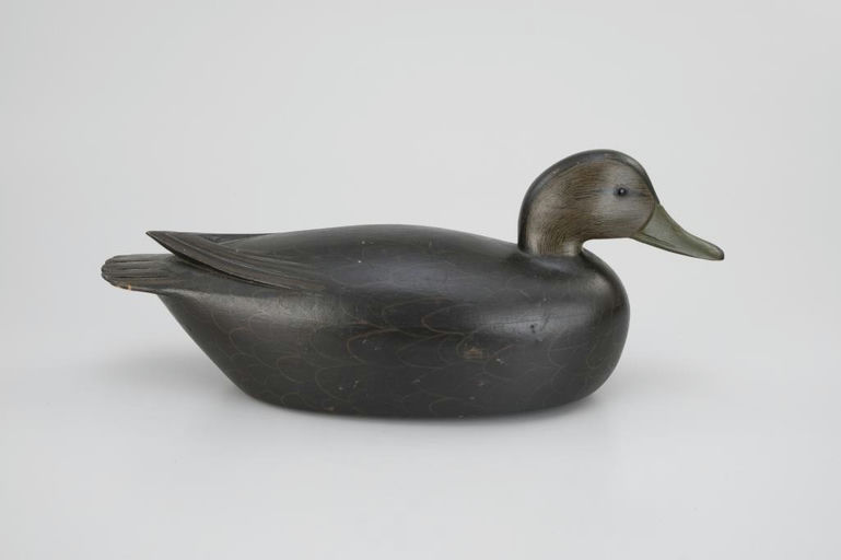Jess Heisler – Hillman Black Duck – 2026