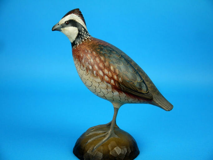 George Strunk – Bobwhite Quail – 2026