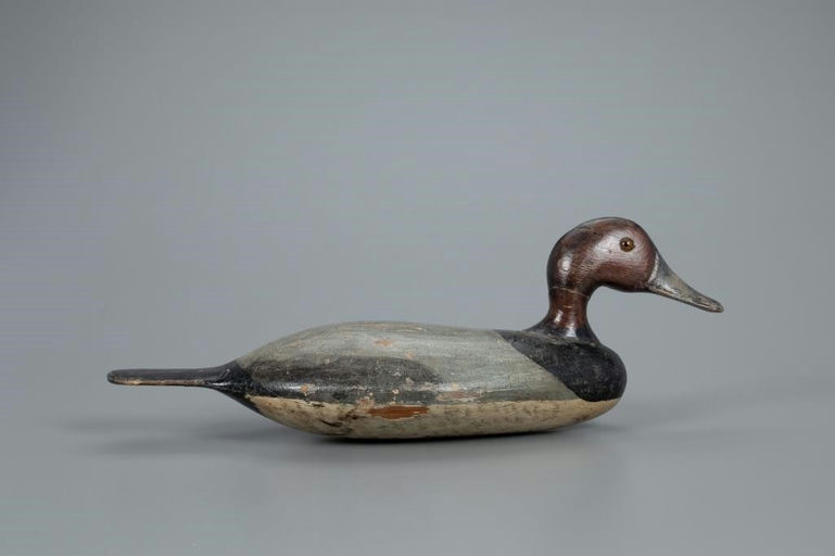 George Stevens – Canvasback – 2020