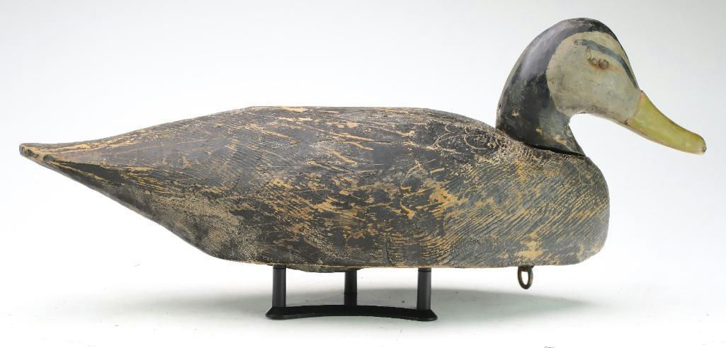 Miles Hancock – Black Duck – 2024