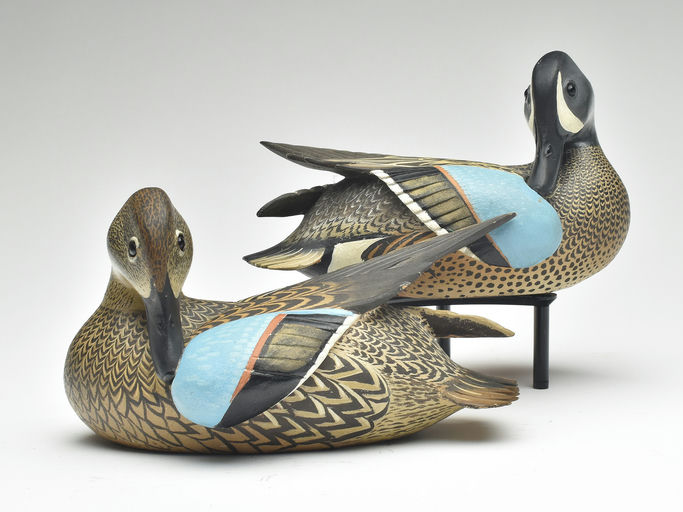 Ward Brothers – Pair of decorative bluewing teal – 2023