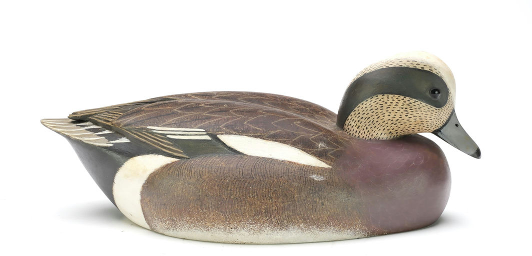 John McLoughlin – Wigeon – 2025