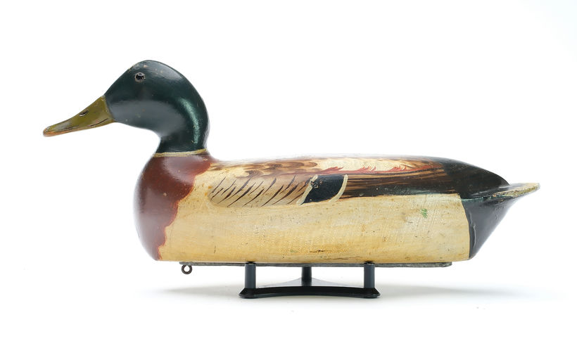 Bert Graves – Mallard – 2025