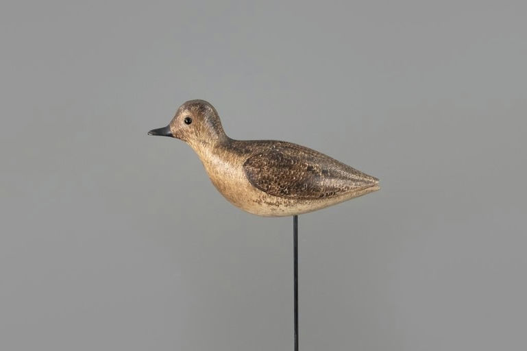 George Boyd – Rare Golden Plover in Winter Plumage – 2025
