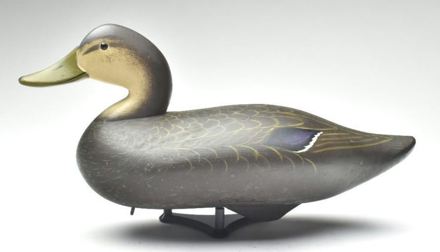 Charlie Joiner – Black Duck – 2023