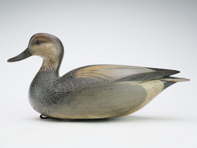 Bill Gibian – Gadwall – 2024