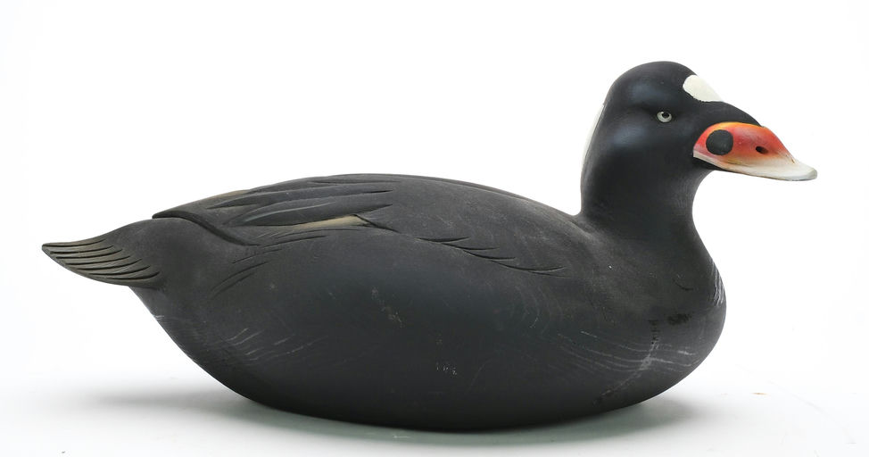 Sean Sutton – Hollow Carved Scoter – 2024