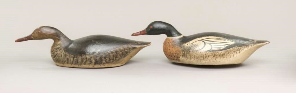 Elmer Crowell – Swimming Red-Breasted Merganser Pair – 2009