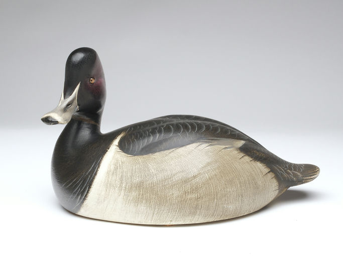 Jim Schmiedlin – Ringneck Drake – 2023