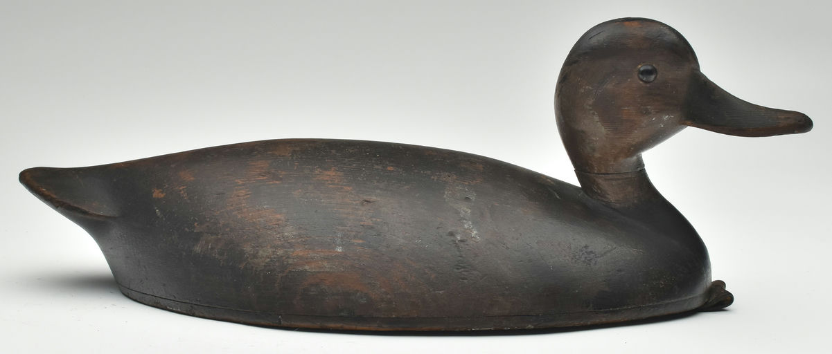 John R. Wells – Black Duck – 2023