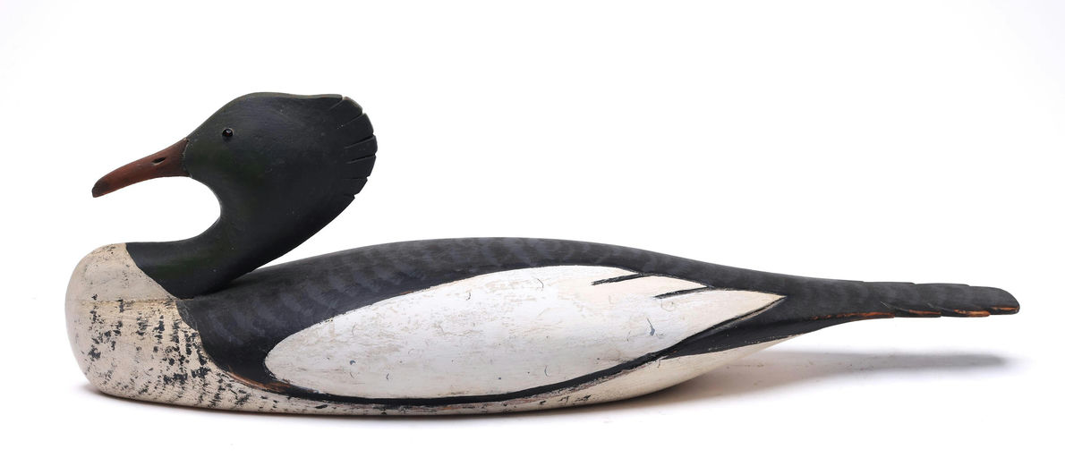 Byron Bruffee – Red-breasted Merganser – 2026