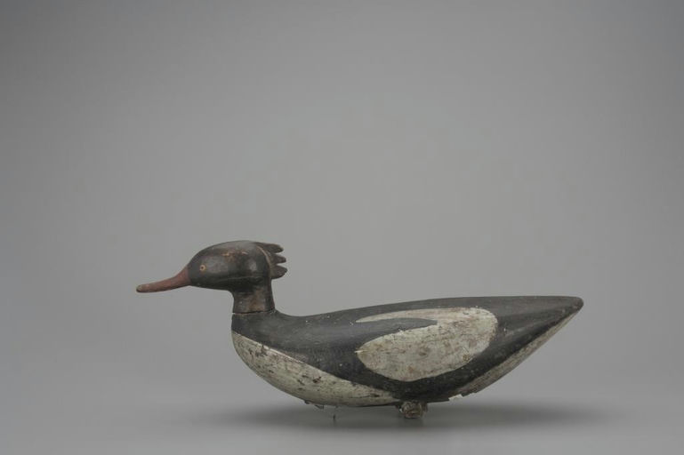 Albert Terry – Merganser Hen – 2018
