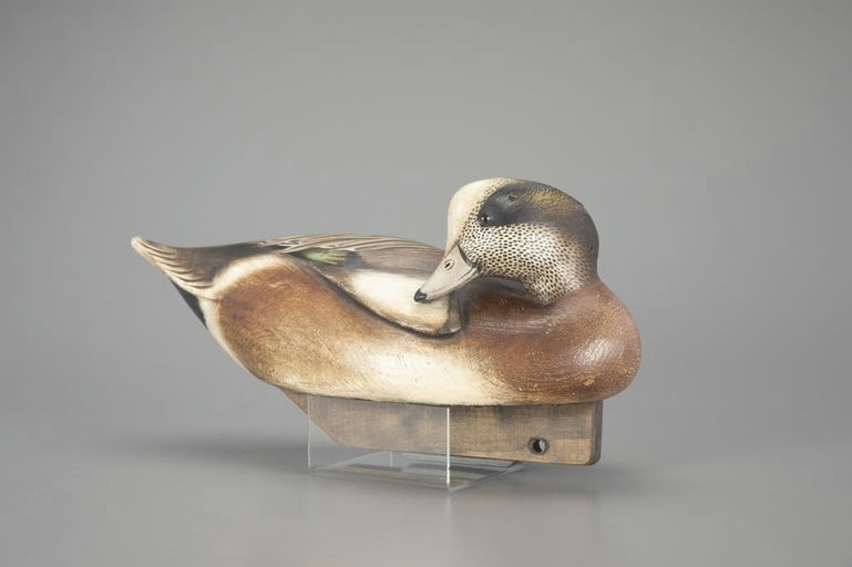 Jim Schmiedlin – Preening Wigeon Drake – 2024