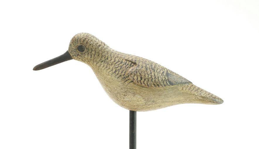 Mark McNair – Sanderling – 2025