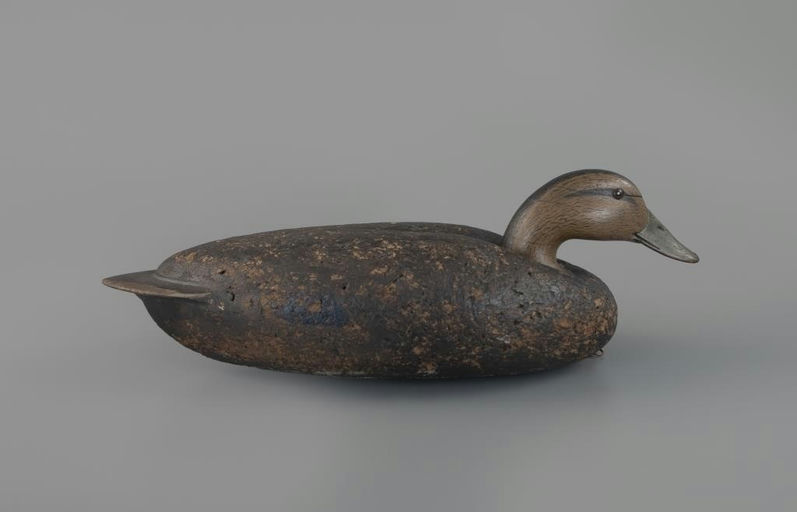 Shang Wheeler – Cork Black Duck – 2025