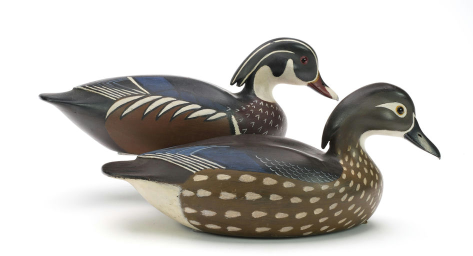 John McLoughlin – Wood Duck – 2024