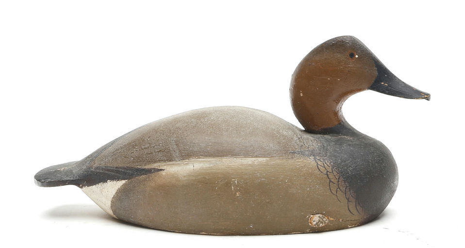 Ward Brothers – Miniature Canvasback – 2026