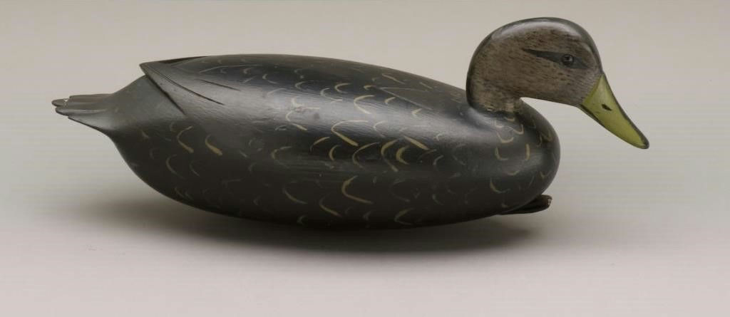 William Quinn – Black Duck – 2010