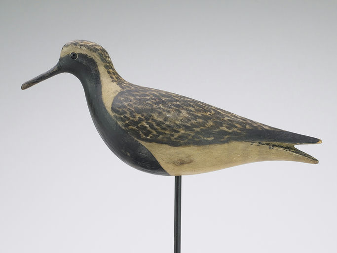 Mark McNair – Black bellied plover – 2024