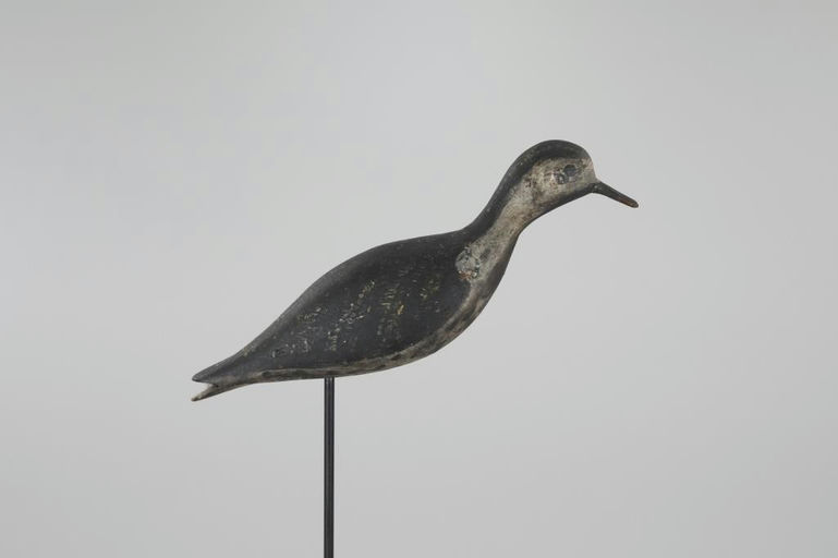 William Mayhew – Running Golden Plover – 2026