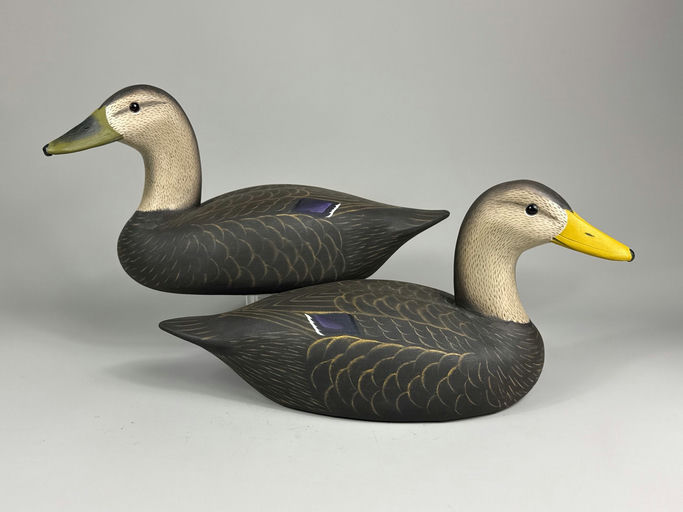 Charlie Joiner – Black duck – 2026