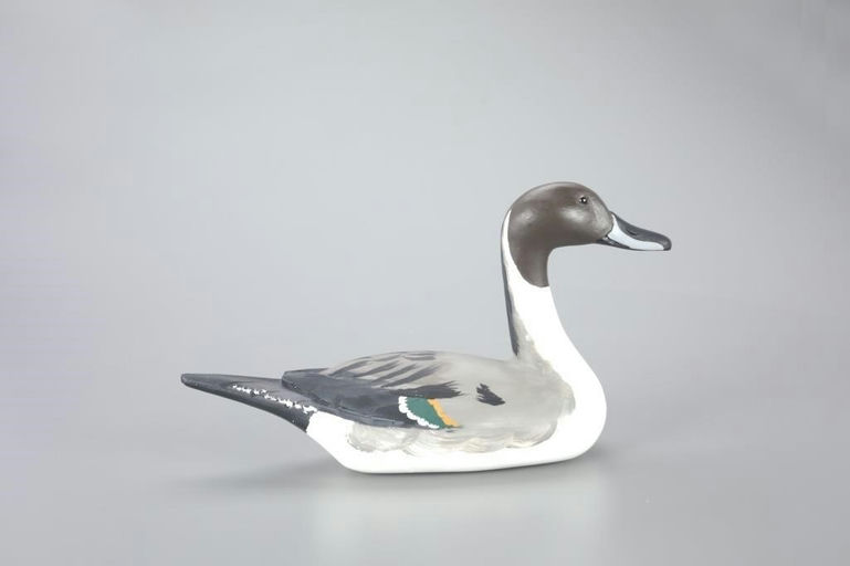 Ed Castagnetto – High-head Pintail – 2023