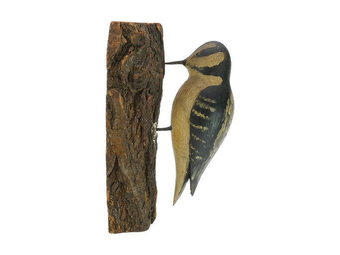Elmer Crowell – Woodpecker – 2024
