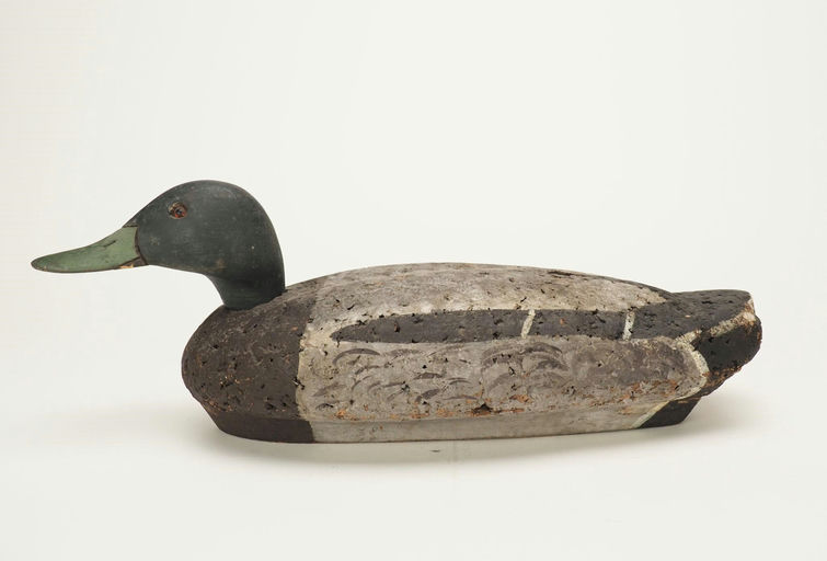 Ken Harris – Early Cork Mallard Drake – 2024