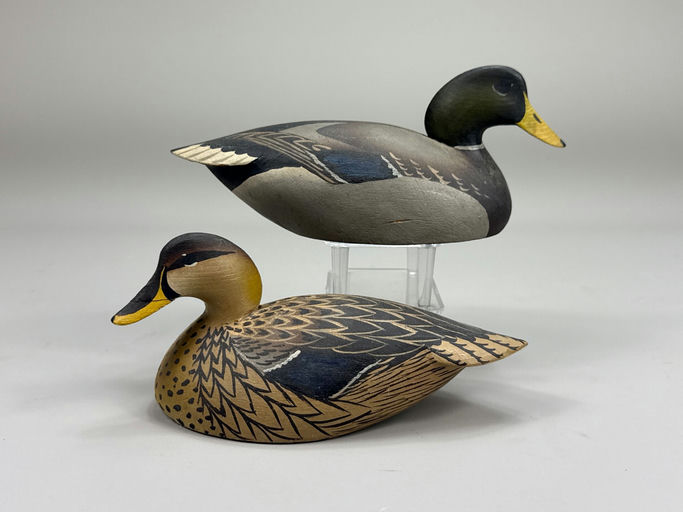 Oliver Lawson – Mallard – 2026