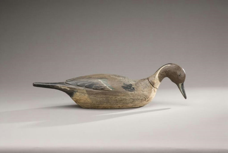 John G. Tornberg – Turned-head Feeding Pintail Drake – 2009