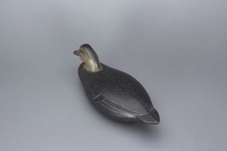 Willard C. Baldwin – Swimming Black Duck – 2017