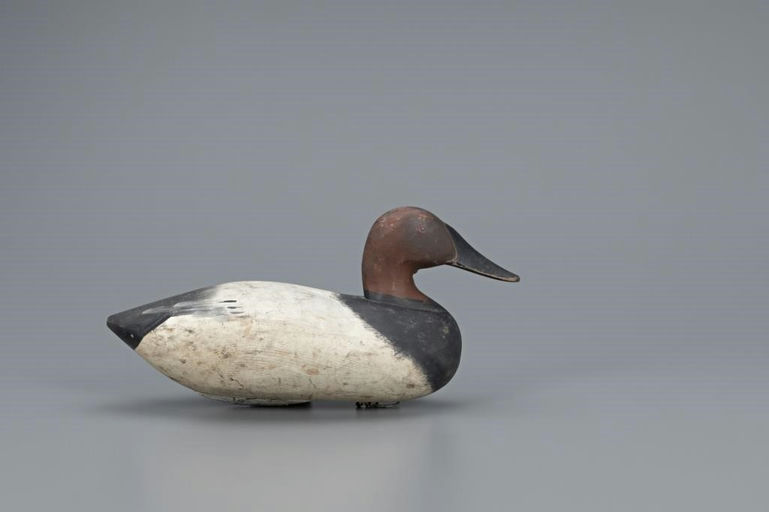 Captain Harry Jobes – Early Canvasback Drake – 2019
