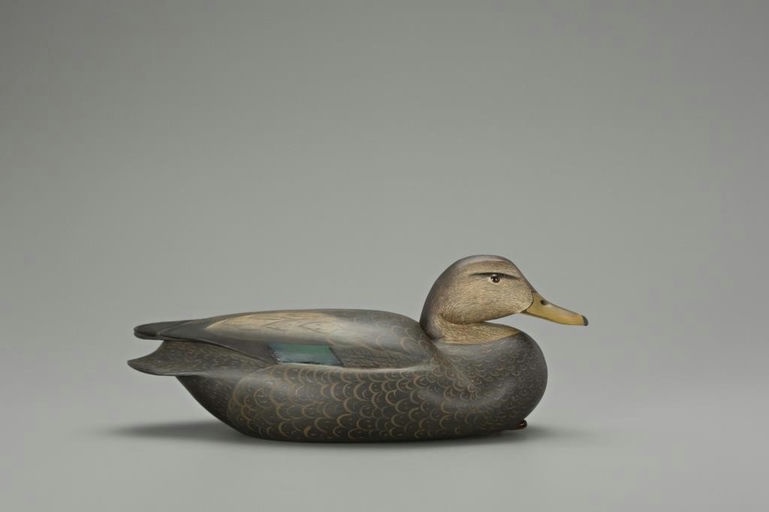 Lenny Maiorano – Black Duck – 2018