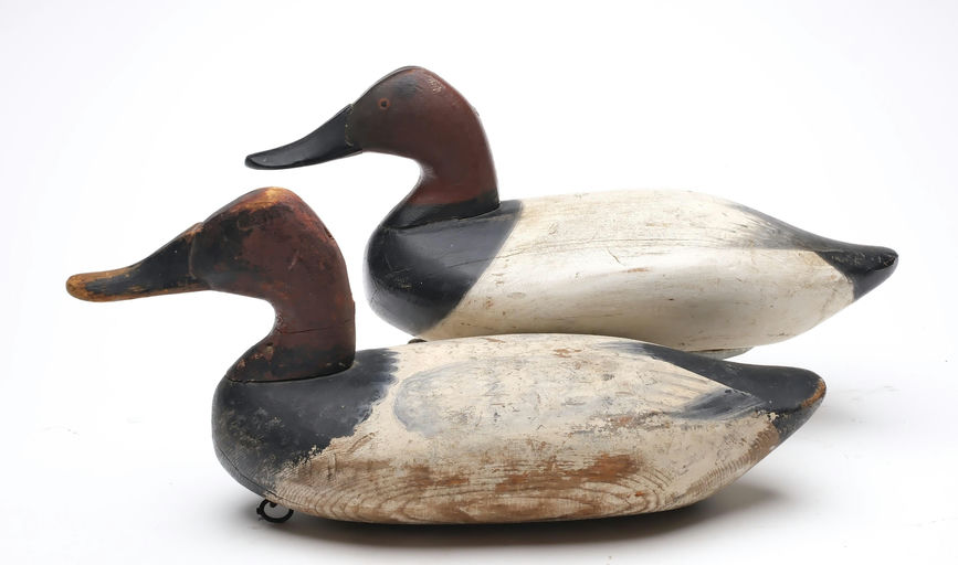James Currier – Canvasback – 2025