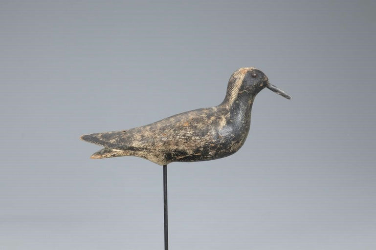 Joseph Lincoln – Rare Dropped-Thigh Black-Bellied Plover – 2020