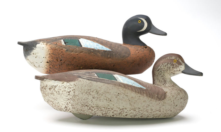 R. Madison Mitchell – Pair of Blue Wing Teal – 2025