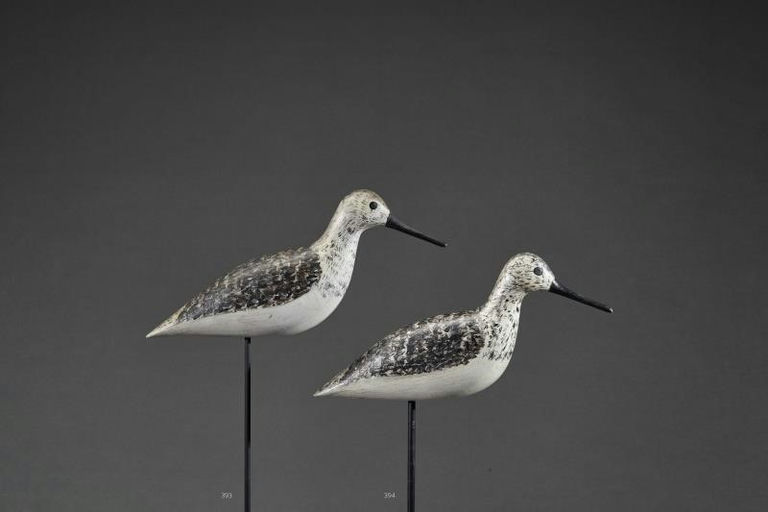 Harry V. Shourds – Yellowlegs – 2017